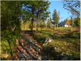 Stara Fužina - Planina Vodični vrh